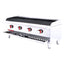 ASADOR CORIAT ACH-4 PETIT | 4 Parrillas | 4 Quemadores | Gas | Lámina De Acero Inoxidable | Restaurante Hotel Industrial Negocio de Comida Asar Negocio Tostar Cocina Comedor Industriales Asada Autoservicio Alta Cocina. 
