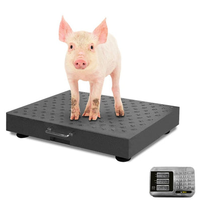 Rhino BAPIC-300 Plataforma Bascula 300 Kg -  - Rhino - KitchenMax Store