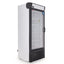 Torrey CV16 PTCV-0003 Congelador Exhibidor Vertical 1 Puerta Cristal 4 Parrillas Cuerpo Esmaltado - Congeladores - Torrey - KitchenMax Store